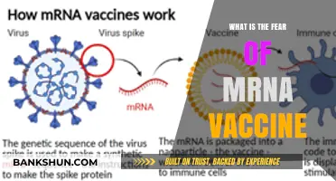 Understanding mRNA Vaccine Fear: Debunking Myths and Addressing Concerns