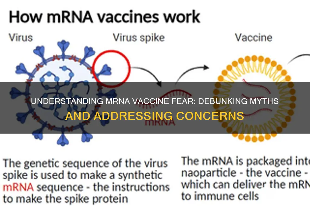 what is the fear of mrna vaccine