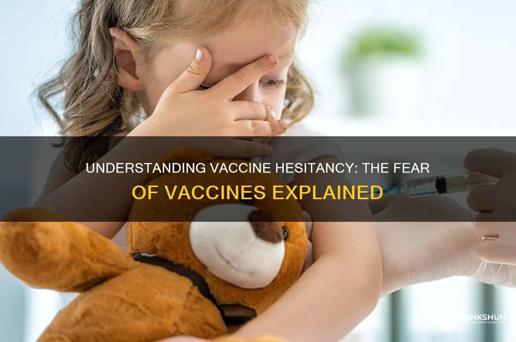 what is the fear of vaccines called