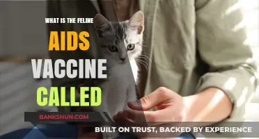 Understanding Feline AIDS: The Vaccine Name and Its Importance
