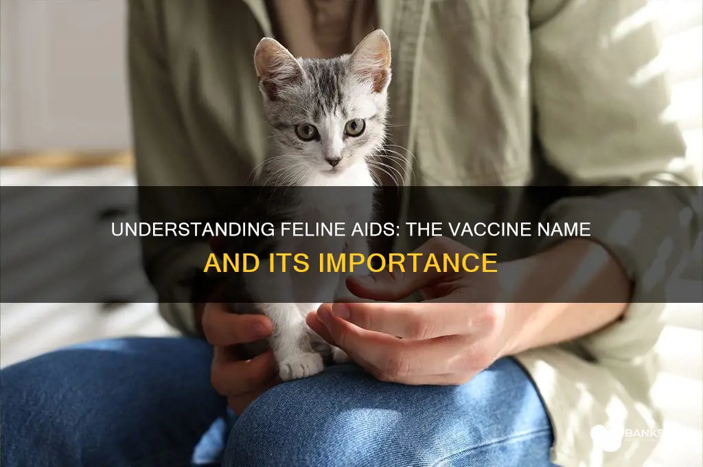 what is the feline aids vaccine called