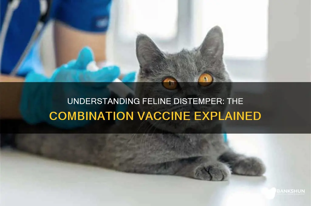 what is the feline distemper combination vaccine