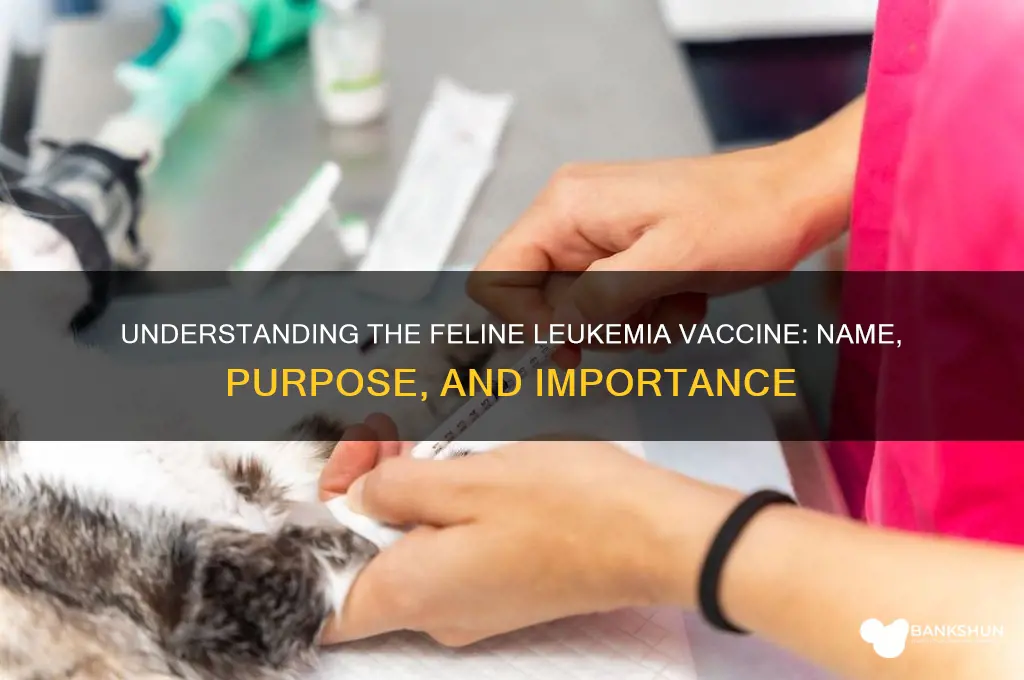 what is the feline leukemia vaccine called