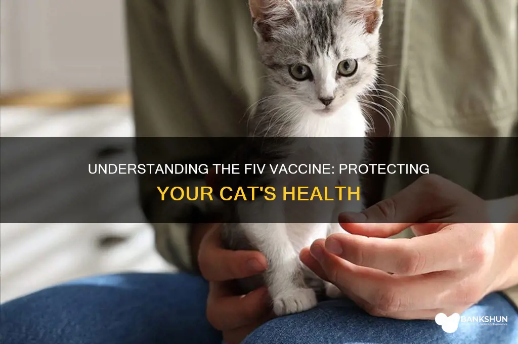 what is the fiv vaccine for cats