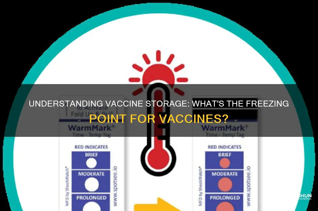 what is the freezing point of vaccines