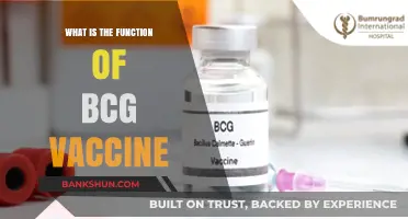 Understanding the BCG Vaccine: Its Role and Importance in Health
