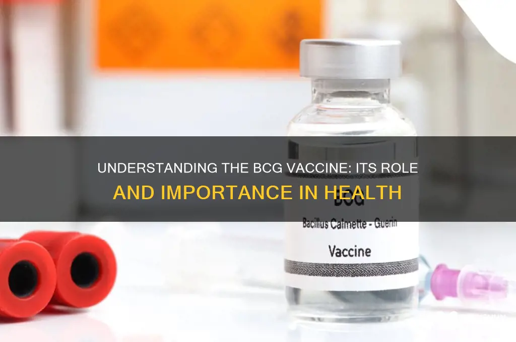 what is the function of bcg vaccine