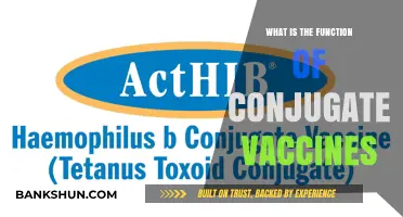 Understanding Conjugate Vaccines: Function, Benefits, and Importance in Immunization