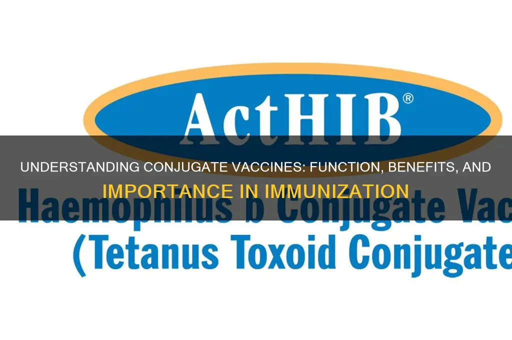 what is the function of conjugate vaccines