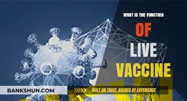 Understanding Live Vaccines: Their Role and Function in Immunity