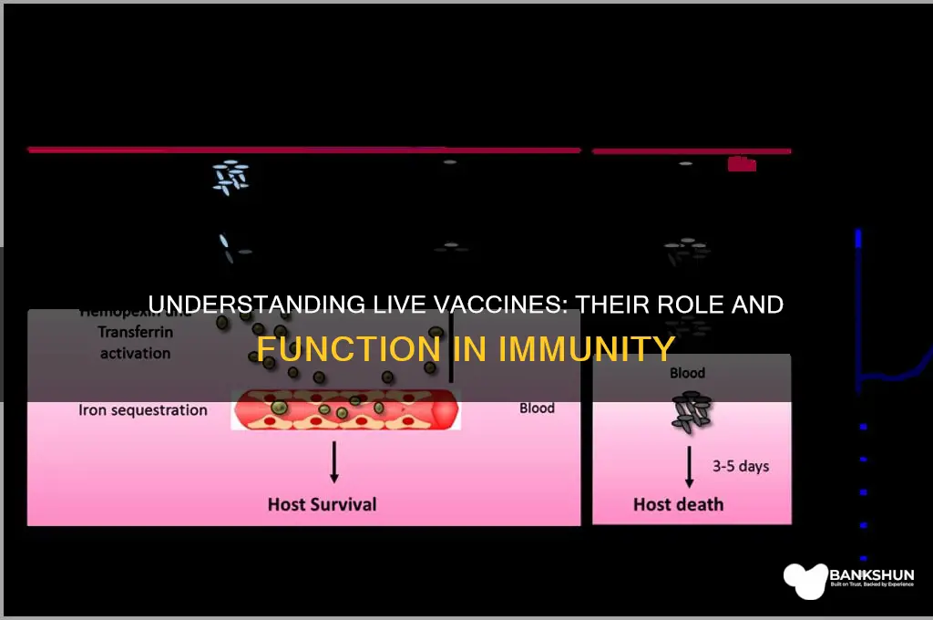 what is the function of live vaccine