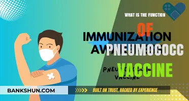 Understanding the Role of Pneumococcal Vaccine in Preventing Infections