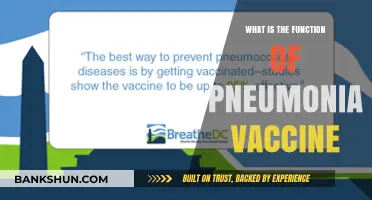 Understanding the Role of Pneumonia Vaccines in Preventing Lung Infections