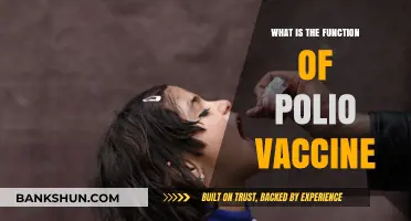 Understanding the Polio Vaccine: Its Role in Preventing Crippling Disease