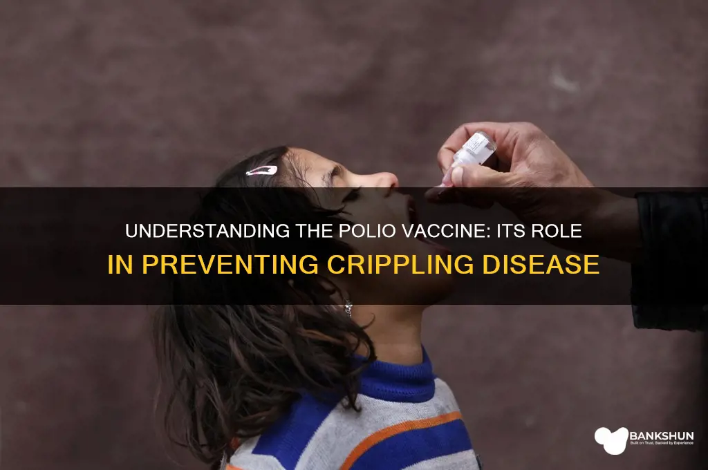 what is the function of polio vaccine