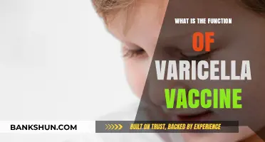 Understanding the Varicella Vaccine: Preventing Chickenpox and Complications