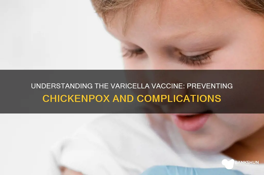 what is the function of varicella vaccine