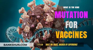 Understanding Gene Mutations in Vaccine Development and Their Impact