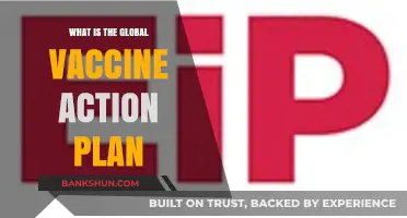 Understanding the Global Vaccine Action Plan: Goals, Strategies, and Impact