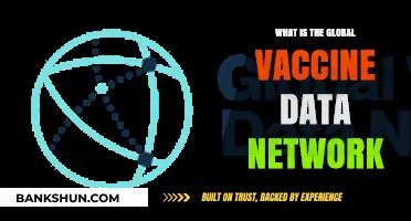 Understanding the Global Vaccine Data Network: Purpose, Impact, and Importance