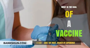 Understanding Vaccines: Their Purpose and Role in Disease Prevention