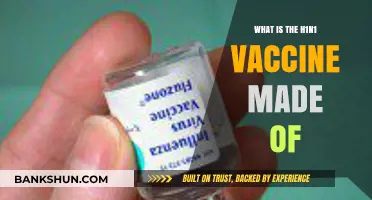 Understanding the H1N1 Vaccine: Ingredients and Composition Explained