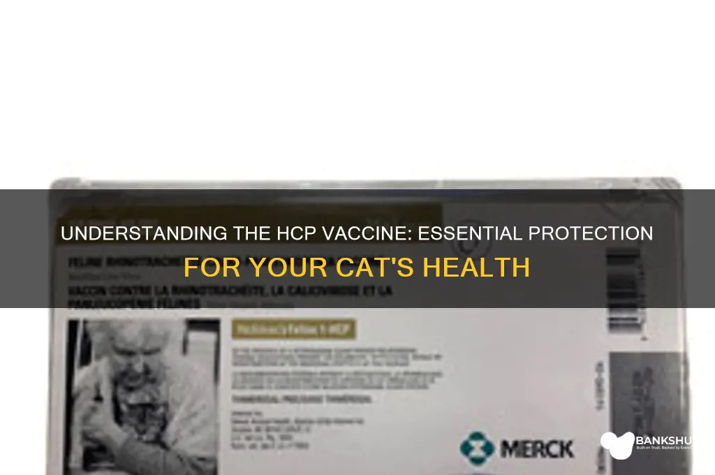 what is the hcp vaccine for cats