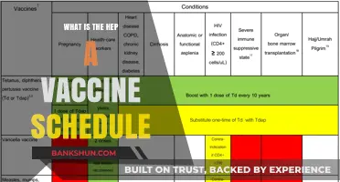 Hepatitis A Vaccine Schedule: Timing and Doses Explained