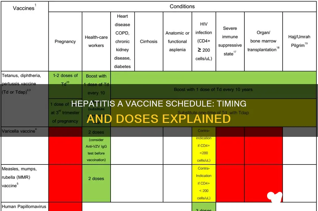what is the hep a vaccine schedule