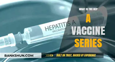 Understanding the Hepatitis A Vaccine Series: A Complete Guide