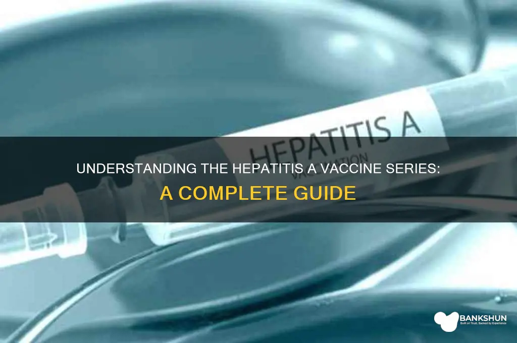 what is the hep a vaccine series