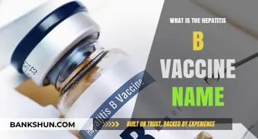 Understanding Hepatitis B: Vaccine Name and Its Importance Explained
