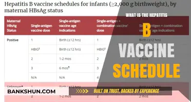 Hepatitis B Vaccine Schedule: Timing and Doses for Optimal Protection