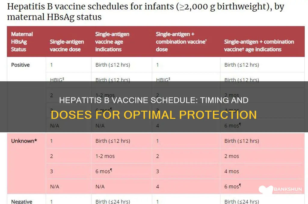 what is the hepatitis b vaccine schedule