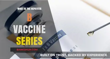 Understanding the Hepatitis B Vaccine Series: A Comprehensive Guide