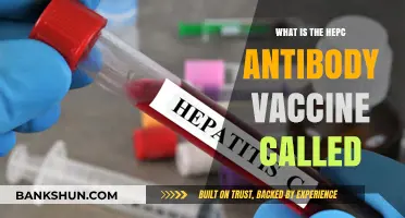 Understanding the Hepatitis C Antibody Vaccine: Its Official Name Explained
