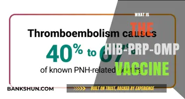 Understanding the Hib-PRP-OMP Vaccine: Benefits, Uses, and Importance