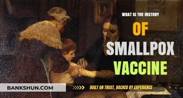 The Evolution and Impact of the Smallpox Vaccine: A Historical Journey
