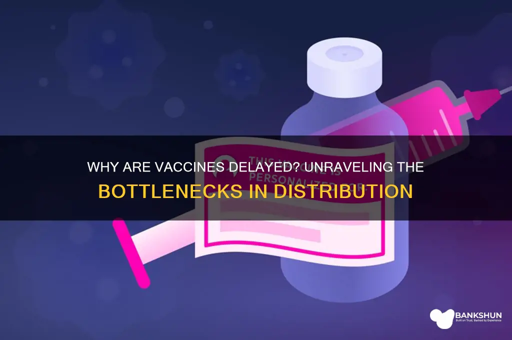 what is the hold up on vaccines