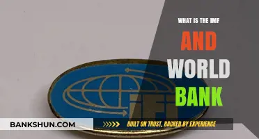 IMF and World Bank: Global Financial Institutions Explained