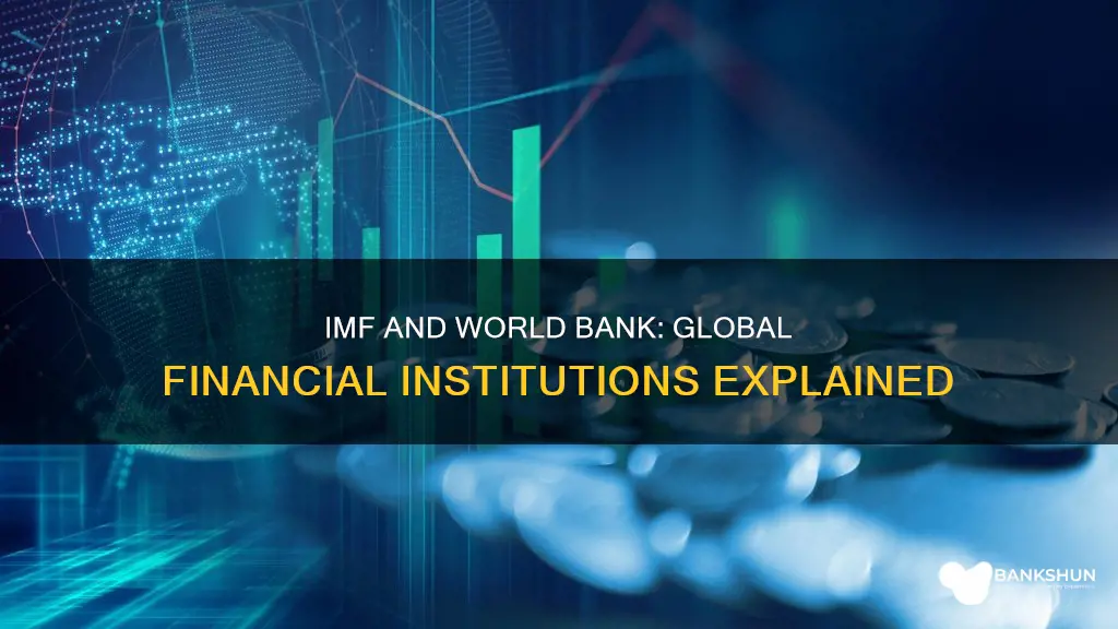 what is the imf and world bank