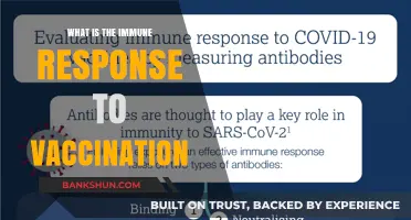 Understanding the Immune System's Response to Vaccination: A Comprehensive Guide