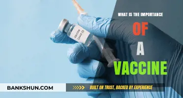 The Vital Role of Vaccines in Global Health and Prevention
