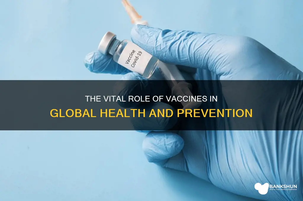 what is the importance of a vaccine