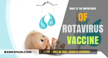 Rotavirus Vaccine: A Lifesaving Shield Against Deadly Diarrheal Diseases