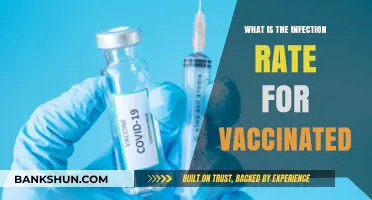 Vaccinated Infection Rates: Understanding COVID-19 Breakthrough Cases and Risks