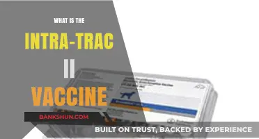 Understanding the Intra-Trac II Vaccine: Uses, Benefits, and Safety