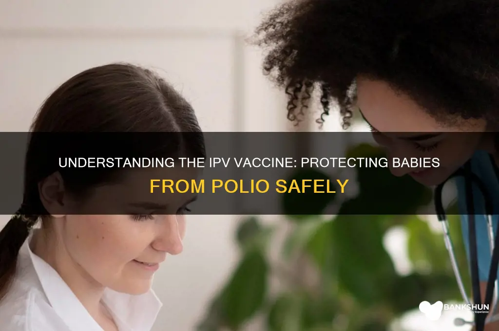 what is the ipv vaccine for babies