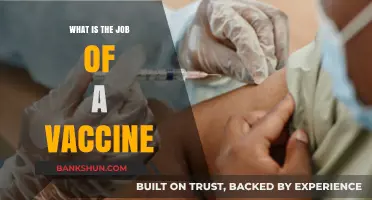 Understanding Vaccines: Their Role in Preventing Diseases and Saving Lives