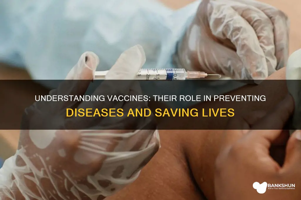 what is the job of a vaccine